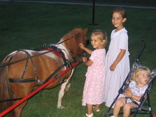Little Pony Ride