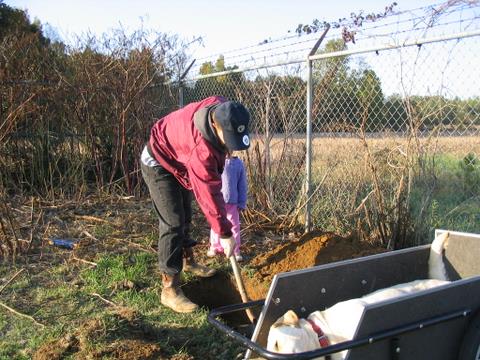 Digging the Grave