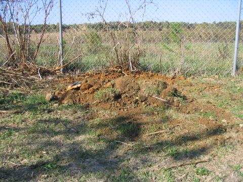The Final Resting Place